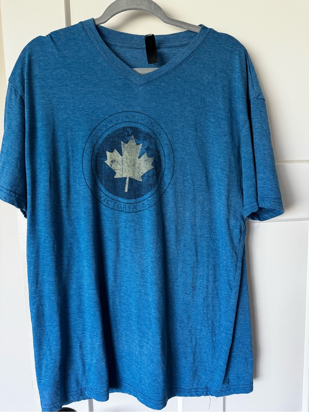Men's Blue V-Neck T‑Shirt with Maple Graphic